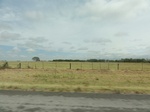 35897DSC02665.JPG