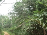 48180CIMG4517.JPG