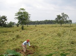 14454IMG_4807.JPG