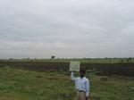 7965gt88b_cropland_sunflower.jpg
