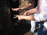 8604IMG_1229.JPG