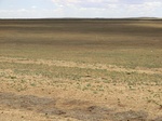 38378CIMG0220.JPG