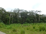 20041P1010892.JPG