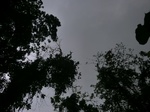 45057CIMG2142.JPG