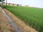 15647IMG_4719.JPG