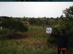 10879gt-086-wetland-valley-bottom-seasonal-02.jpg
