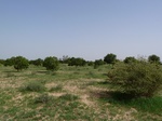 19120P1000965.JPG
