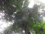 46870DSC02217.JPG