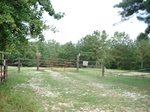 32358p90_s.jpg