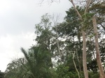 49945CIMG6282.JPG