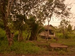 55000Berau (30).JPG