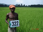 131650323c-irrigated-canal-rice-doublecrop.gif