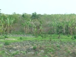 51557P1000729.JPG