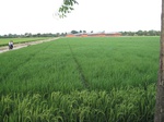 15685IMG_4761.JPG