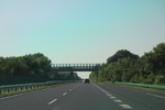 2024-08-05_14-21-46_CA28E74C-A497-463B-89E3-4B2A6D408E0F.jpeg