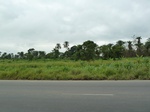 18183P1000018.JPG