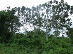 20248P1020103.JPG