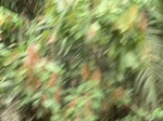 48797CIMG5134.JPG