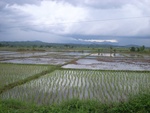 33617RIMG0282.JPG