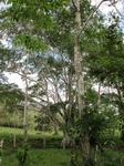31989IMG_5602.jpg
