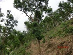 53322CIMG6602.JPG