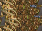 11660086-Irrigated (Surface water) maize-b.jpg