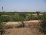 51876Tank ID 1800245 Mydanahalli 1.JPG