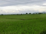 55997CIMG6682.JPG