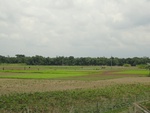 22022DSC00136.JPG