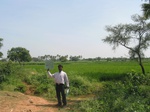 9321gt039b-irrigated-rice-thungabhadra.gif