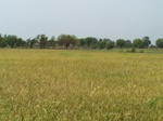 484502052008(40).JPG