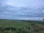 55973CIMG6652.JPG