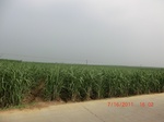 33082CIMG2317.JPG