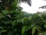 45589CIMG2674.JPG
