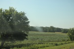 2024-06-17_21-44-34_96A6FEDD-C2C0-4A85-BAAC-54EF0144AB63.jpeg