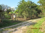 31901IMG_5408.JPG