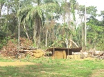 48507CIMG4844.JPG