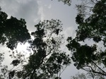 50505CIMG1134.JPG
