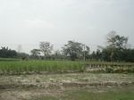 21872DSC08463.JPG