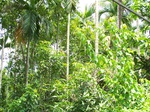 1695710052008(28).JPG
