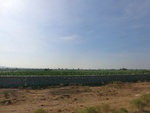 56100CIMG6800.JPG