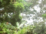 48298CIMG4635.JPG