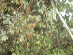 48299CIMG4636.JPG