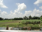 24628DSC00847.JPG