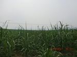 33105CIMG2340.JPG