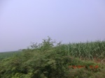 32926CIMG2071.JPG