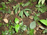 46857DSC02204.JPG
