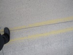 9765IMG_0042.JPG