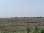 17327100_2013.JPG