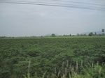 34457IMG_5440.JPG